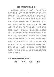 武鸣县业务办理流程图