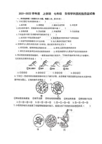 20212022学年沈阳市南昌中学七年级上学期限时作业生物试卷期中测试