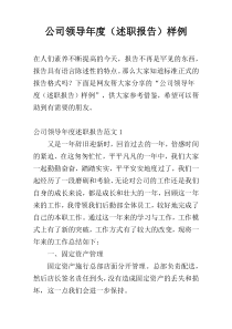 公司领导年度（述职报告）样例