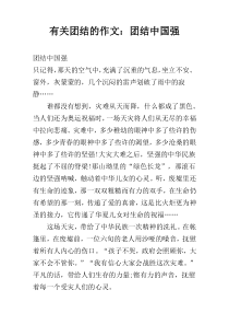 有关团结的作文：团结中国强