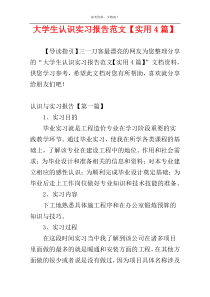 大学生认识实习报告范文【实用4篇】