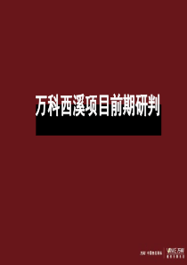 万科杭州西溪项目定位报告