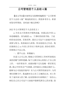 公司管理层个人总结4篇