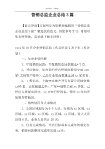 营销总监企业总结3篇