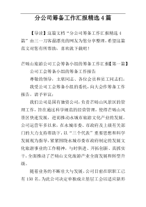 分公司筹备工作汇报精选4篇