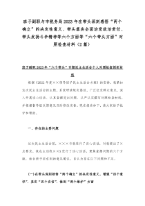 班子副职与市税务局2023年在带头深刻感悟“两个确立”的决定性意义、带头落实全面治党政治责任、带