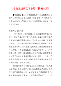 大学生派出所实习总结（精编4篇）