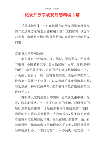 纪录片苏东坡观后感精编3篇