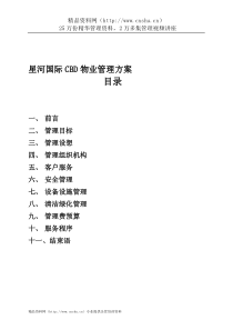 星河国际CBD物业管理方案