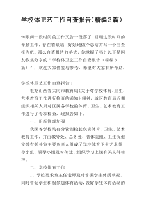 学校体卫艺工作自查报告（精编3篇）