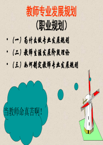 教师专业发展规划（职业规划）