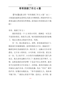 哥哥我错了作文4篇