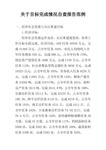 关于目标完成情况自查报告范例