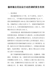 榆林镇全民创业行动的调研报告范例