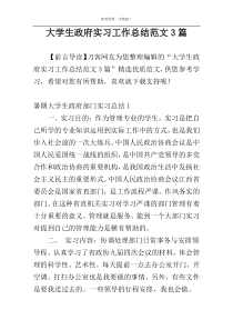 大学生政府实习工作总结范文3篇