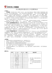 共享集团有限责任公司招聘简章