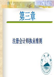 注册会计师准则与职业道德