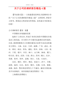 关于公司的调研报告精选4篇