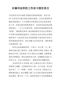 乡镇司法所的工作实习报告范文