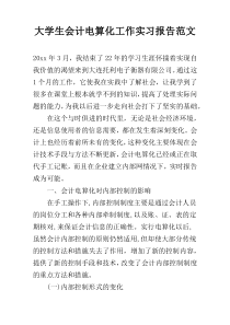 大学生会计电算化工作实习报告范文