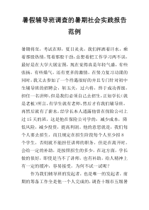 暑假辅导班调查的暑期社会实践报告范例