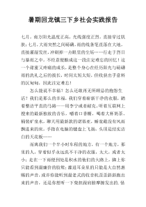 暑期回龙镇三下乡社会实践报告