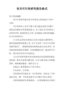 有关可行性研究报告格式