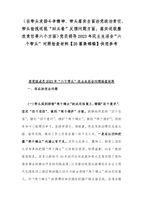 （在带头发扬斗争精神、带头落实全面治党政治责任、带头检视巡视“回头看”反馈问题方面，落实巡视整改