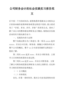 公司财务会计的社会实践实习报告范文