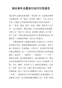 深化青年志愿者行动可行性报告