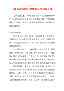 公益劳动实践心得体会范文精编5篇