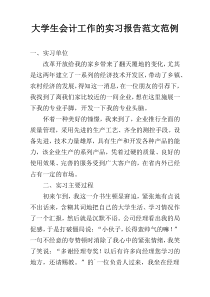 大学生会计工作的实习报告范文范例