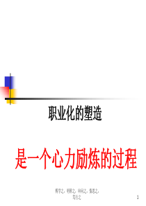 职业化修炼(赢在职场系列)