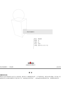 职业发展报告