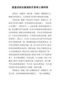 借鉴讲政治重规矩作表率心得样例