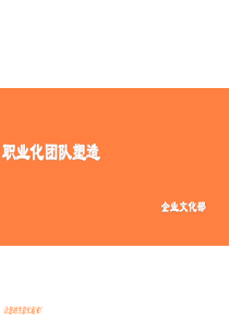 职业生涯-职业化团队塑造（PPT35页）