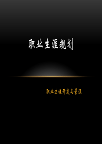 职业生涯与开发（PPT31页)