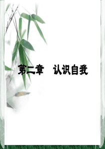 职业生涯规划-自我认知