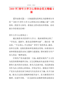 [600字]青年大学习心得体会范文精编4篇