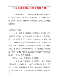 公司会计实习报告范文精编3篇