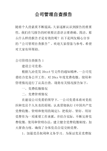 公司管理自查报告