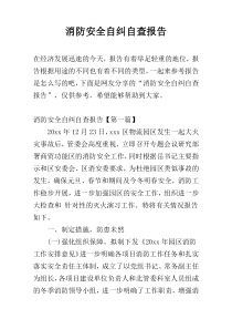 消防安全自纠自查报告