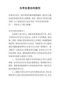 办学自查自纠报告