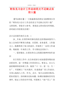 财务见习会计工作总结范文不足缺点实用5篇