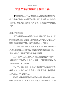 业务员培训方案例子实用5篇