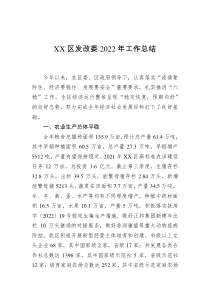 XX区发改委2022年工作总结