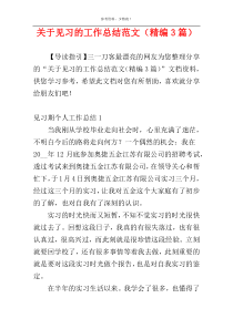 关于见习的工作总结范文（精编3篇）