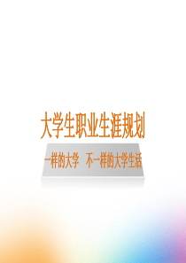 职业生涯规划长篇（PPT49页)