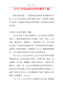 公司工作总结范文报告通用5篇