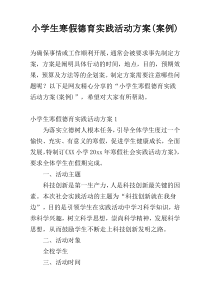 小学生寒假德育实践活动方案(案例)